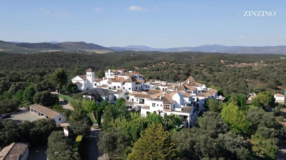 Qualify for Zinzino Ambassador Trip 2024 Andalusia, Spain