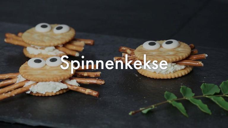 FOOD_Spinnenkekse_2