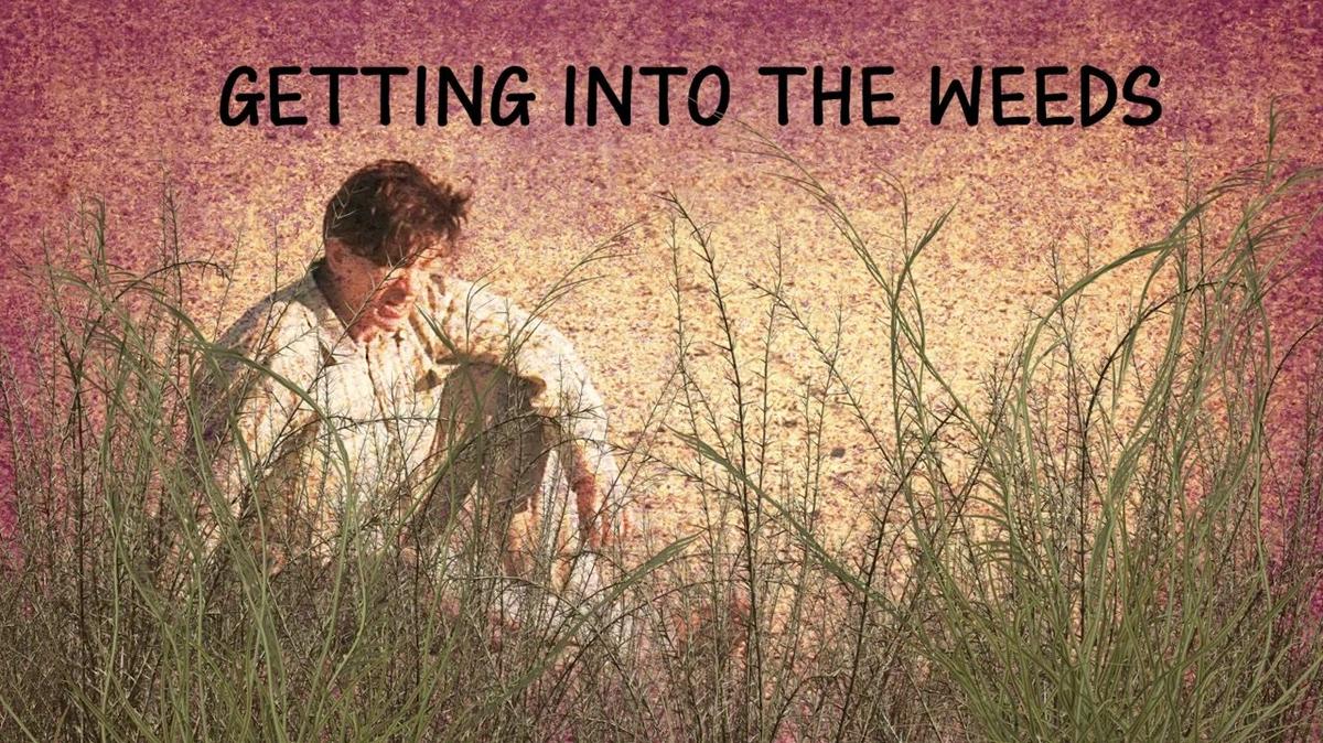 Getting into the Weeds