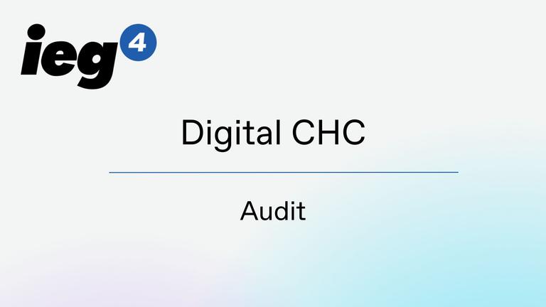 Audit