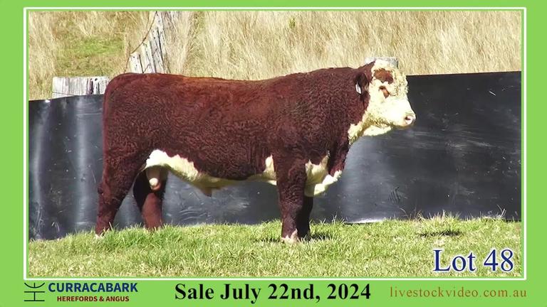 Lot 48