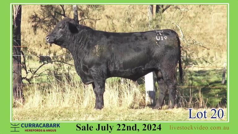 Lot 20