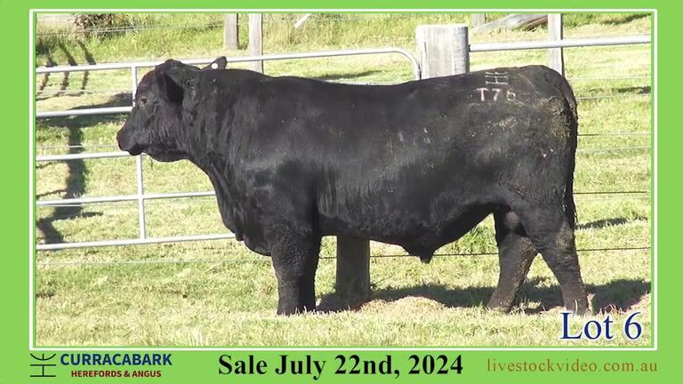 Lot 6