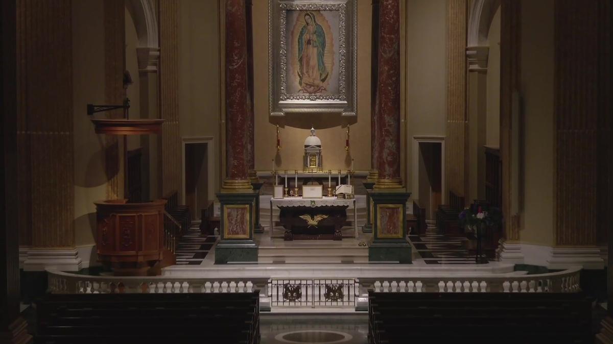 Cardinal Burke offering the Holy Mass, December 1