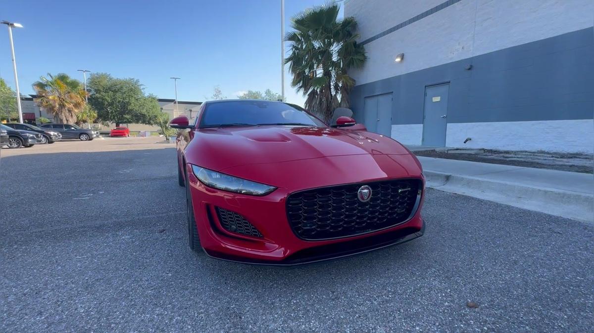 Bonita’s Jaguar - Nick B 315-749-3934
