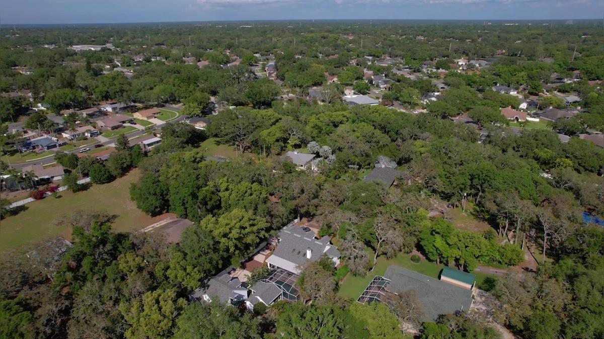 625 Stiles Ln, Palm Harbor, FL 34683
