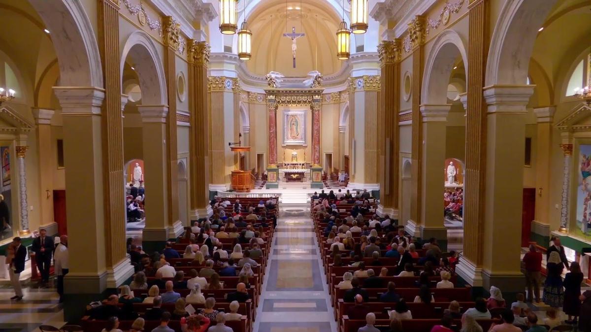 Cardinal Burke&#39;s Golden Jubilee Mass