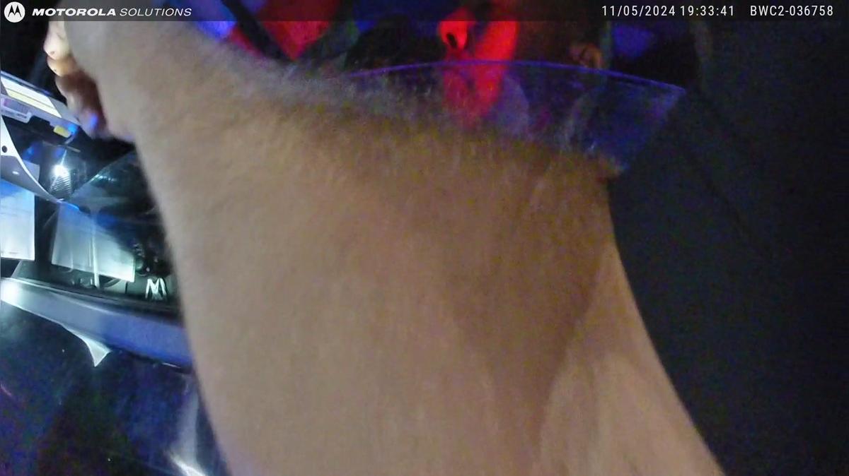 282818 - Reyna Zuniga - Body