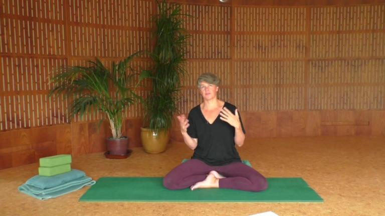 Introduction to Somatics. Talk