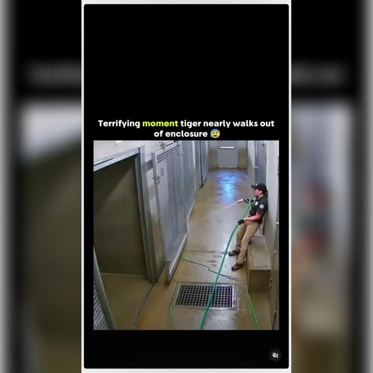 AI example