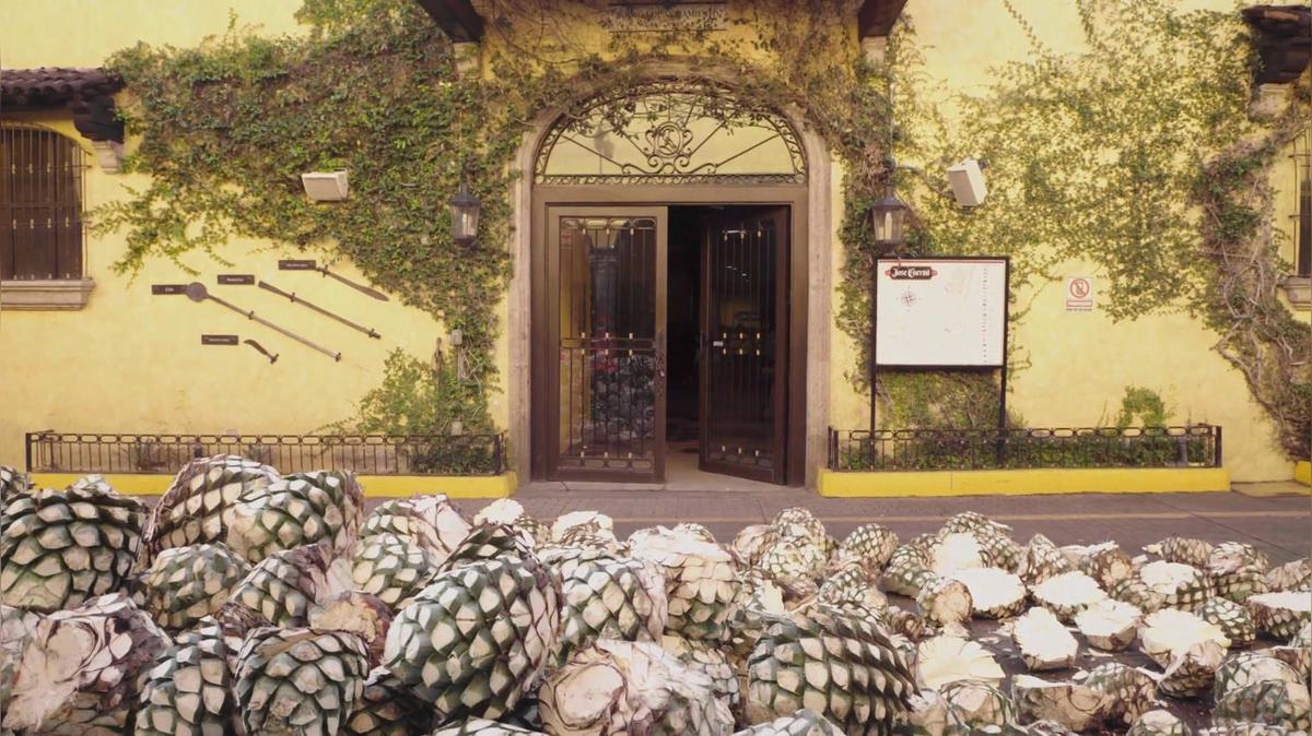 Jose Cuervo  Segment - From Scratch