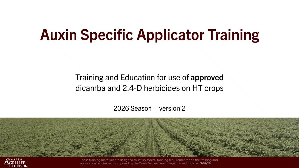 2026 Extension Auxin Training Deck 03.25.2026 v2 recording