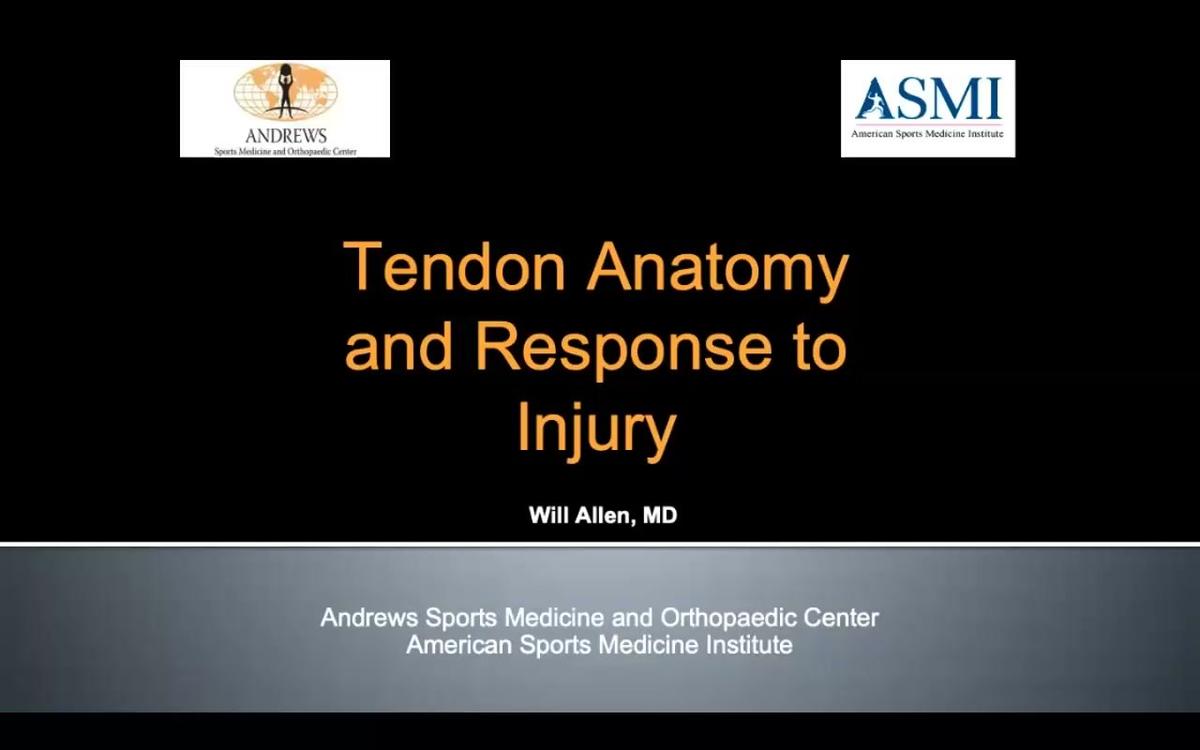 Tendon Anatomy and Response to Injury