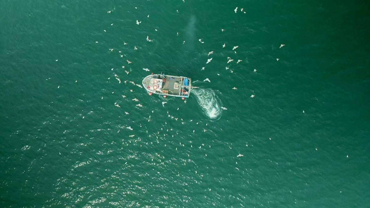 aerial view of fishing boat in turquoise sea pulling in lobster and crab pots