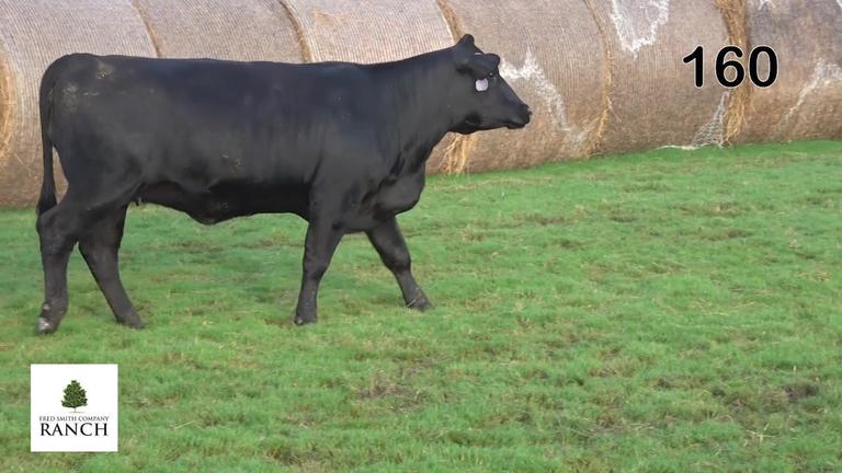 Lot 160 M171