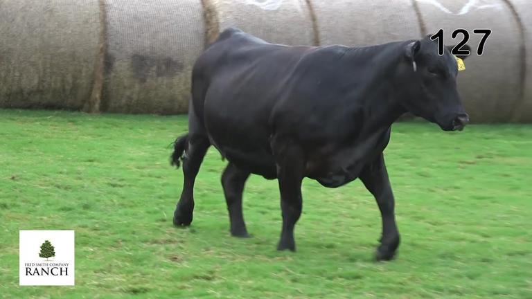 Lot 127 L268