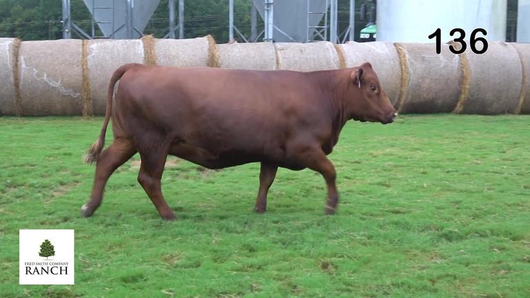 Lot 136 L210