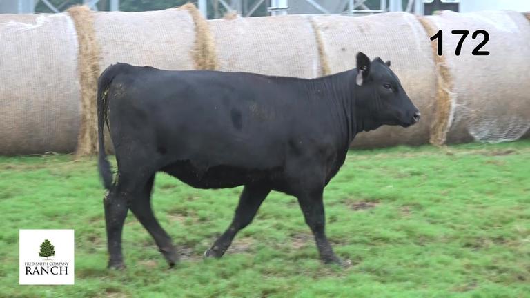 Lot 172 M321