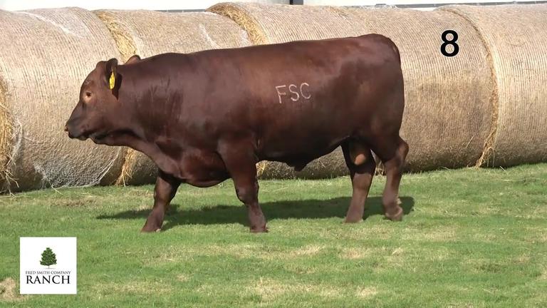 Lot 8 M099