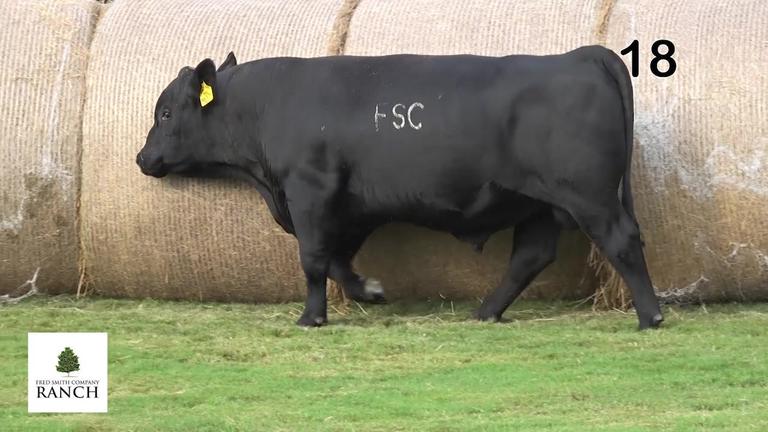 Lot 18 M071