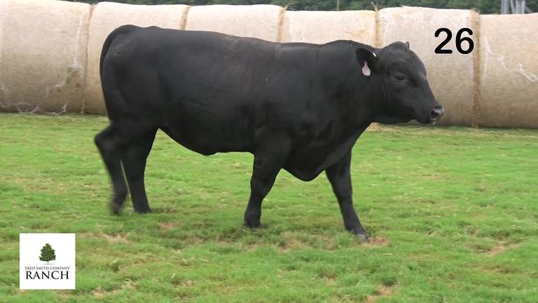 Lot 26 M132