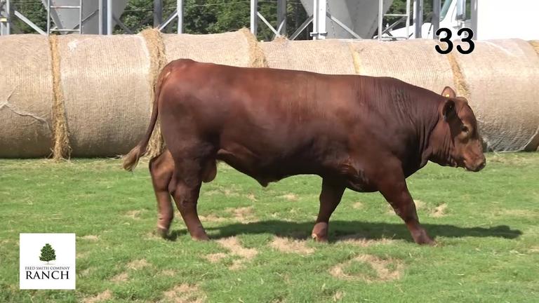 Lot 33 M075