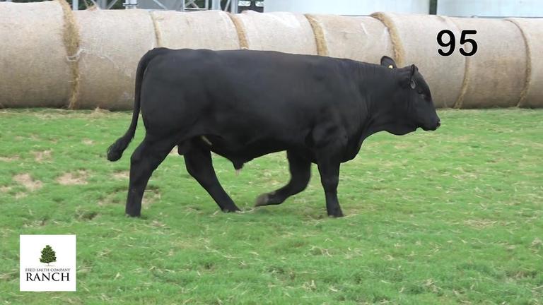 Lot 95 M324