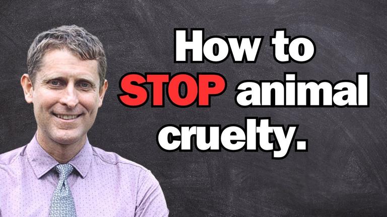 Vegan Pet Food, featuring Prof. Andrew Knight