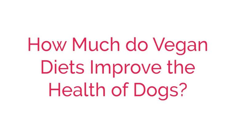 How Much do Vegan Diets Improve the Health of Dogs?