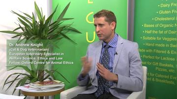The health benefits of cats and dogs being on vegan diets