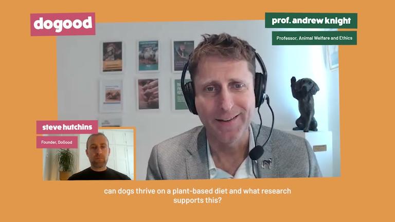 DoGood - Ask The Experts: Professor Andrew Knight