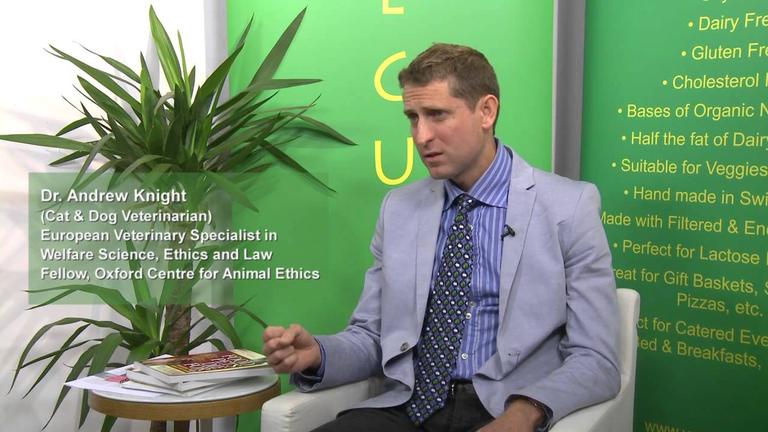 What are the hazards associated with meat based diets for animals?