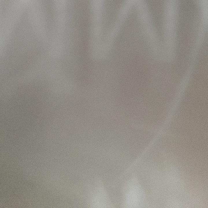 Why did you choose Company?