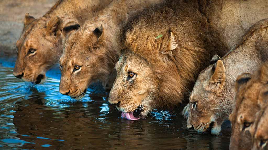 Why did you choose to work with Zyphertek LLC?