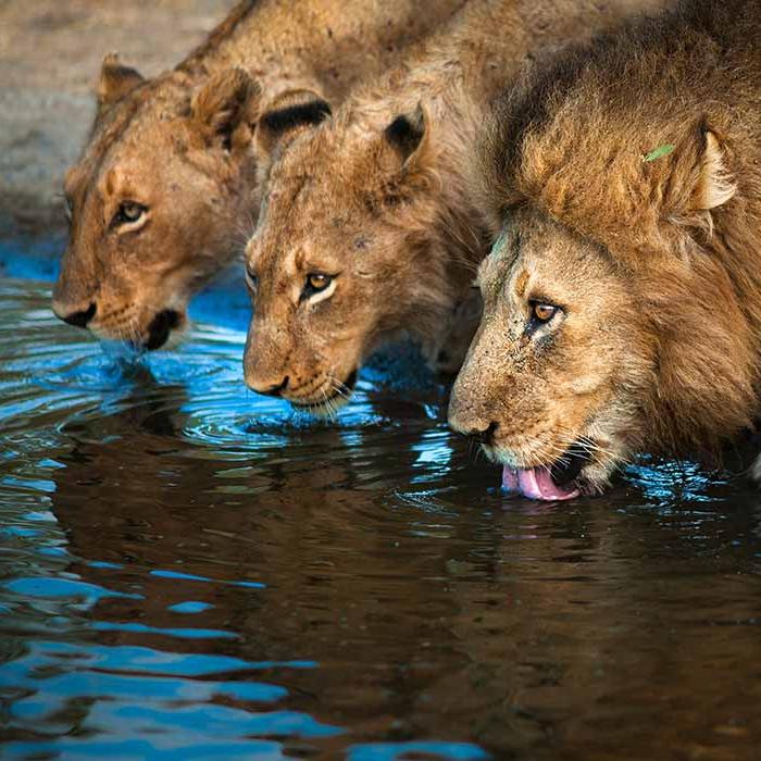 Were there any challenges working with Zyphertek?