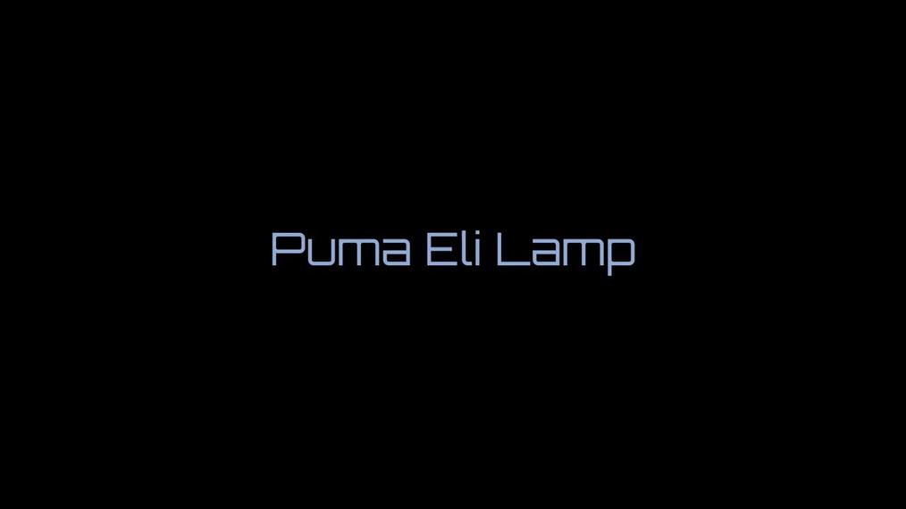 Puma Eli Lamp