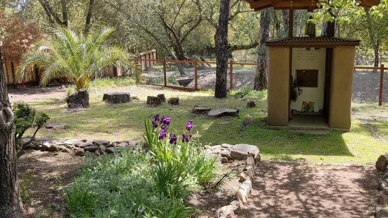 Tranquil garden with wind chimes