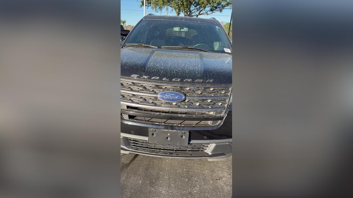 Brooke Explorer Sport (Cliff-Give me a call 774-528-3888)