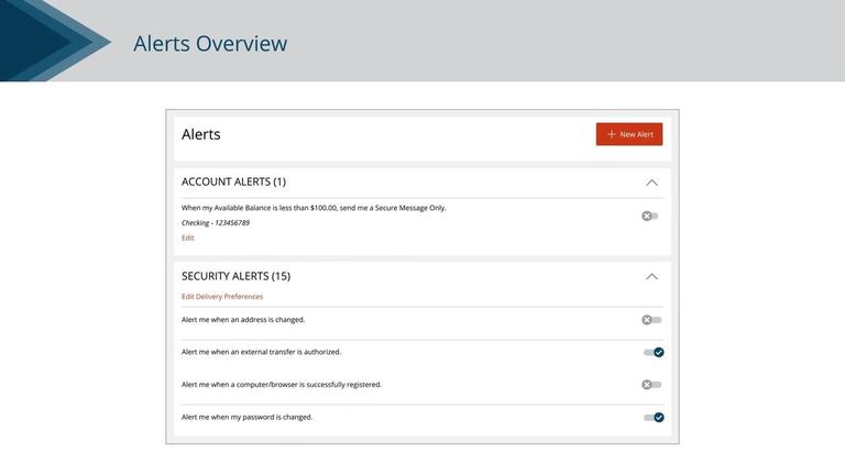 Alerts Overview
