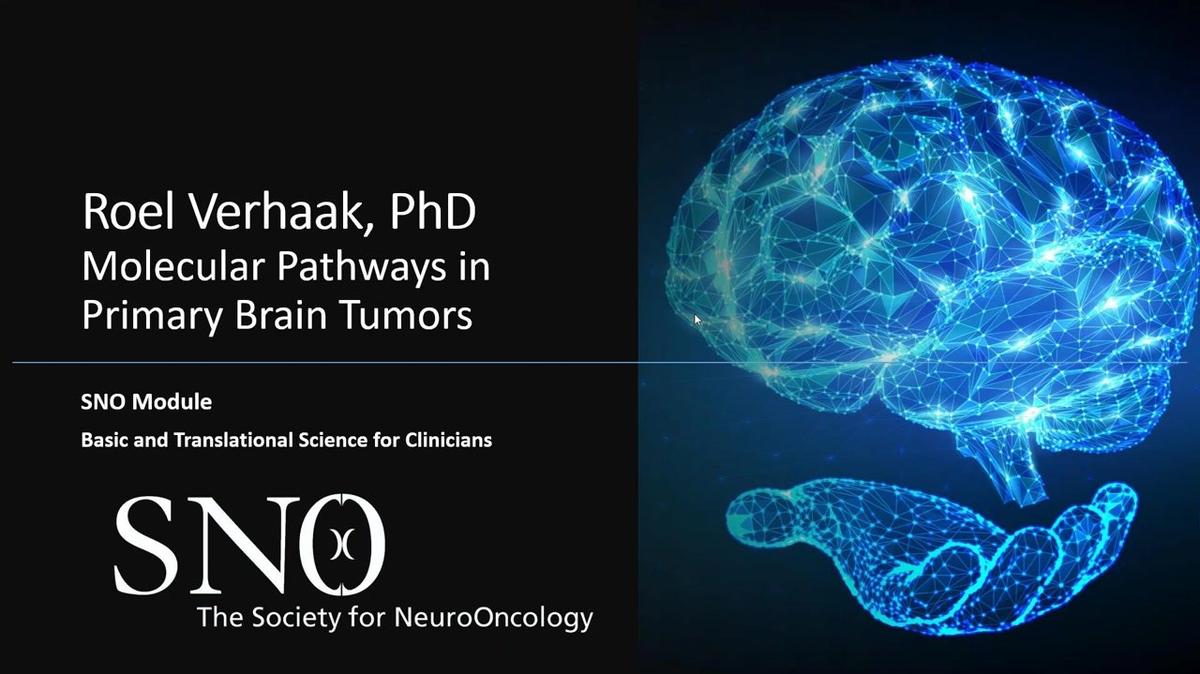 SNO Learning Center_ Molecular Pathways in Primary Brain Tumors.mp4