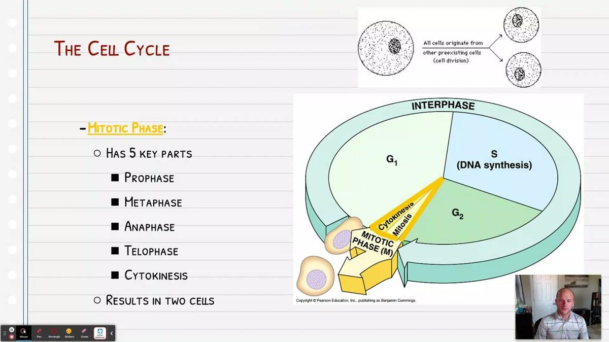 Topic 7: Mitotic Phase