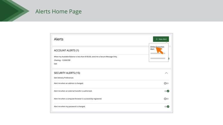 Online Transaction Alerts