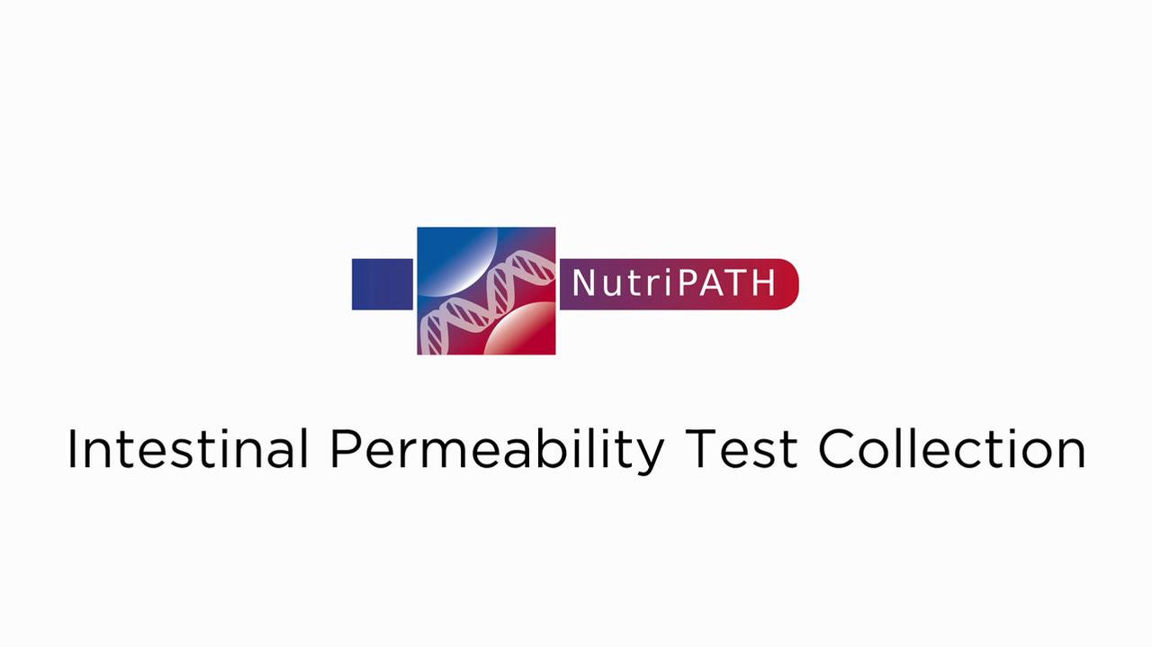 INTESTINAL PERMEABILITY.mov