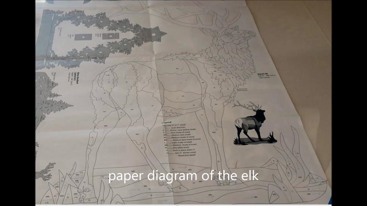tracing an elk detailed diagram