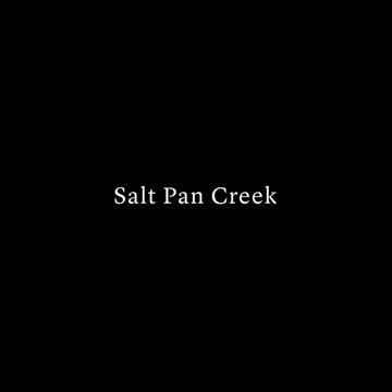 Bankstown Arts Centre: Salt Pan Creek