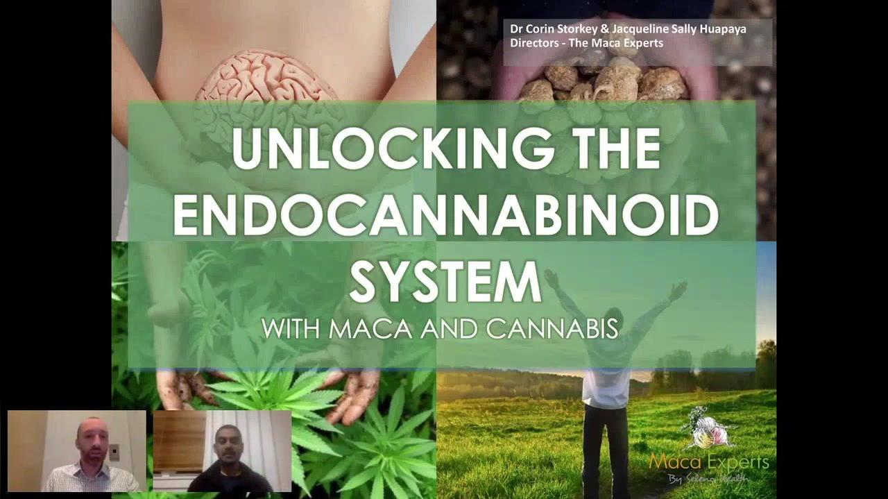 The Entourage Effect – How Cannabinoids and Terpenes Can Create Blissful Synergy