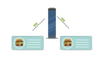 Company Management Overview