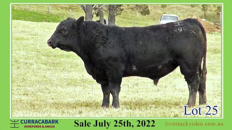 Lot 25 Curracabark 2022