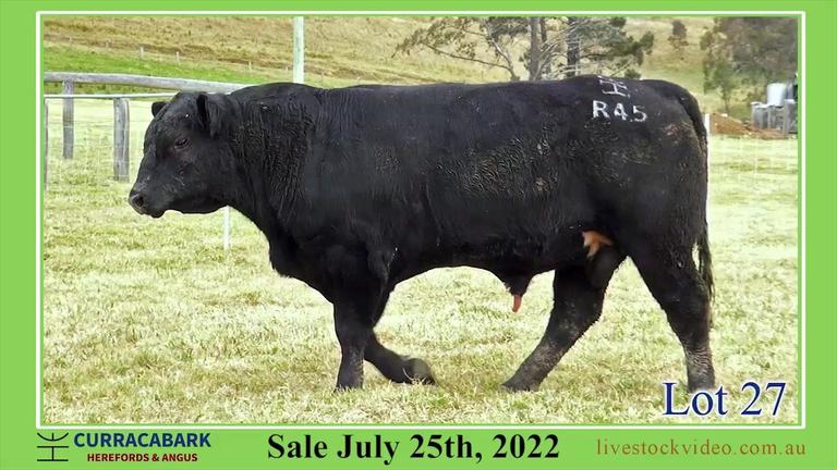 Lot 27 Curracabark 2022