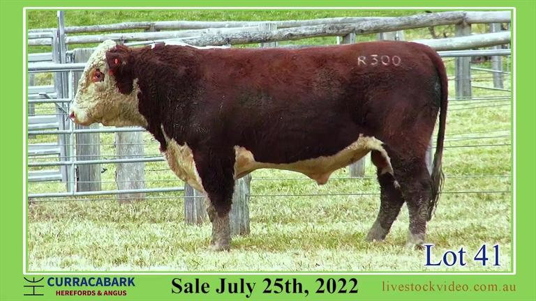 Lot 41 Curracabark 2022